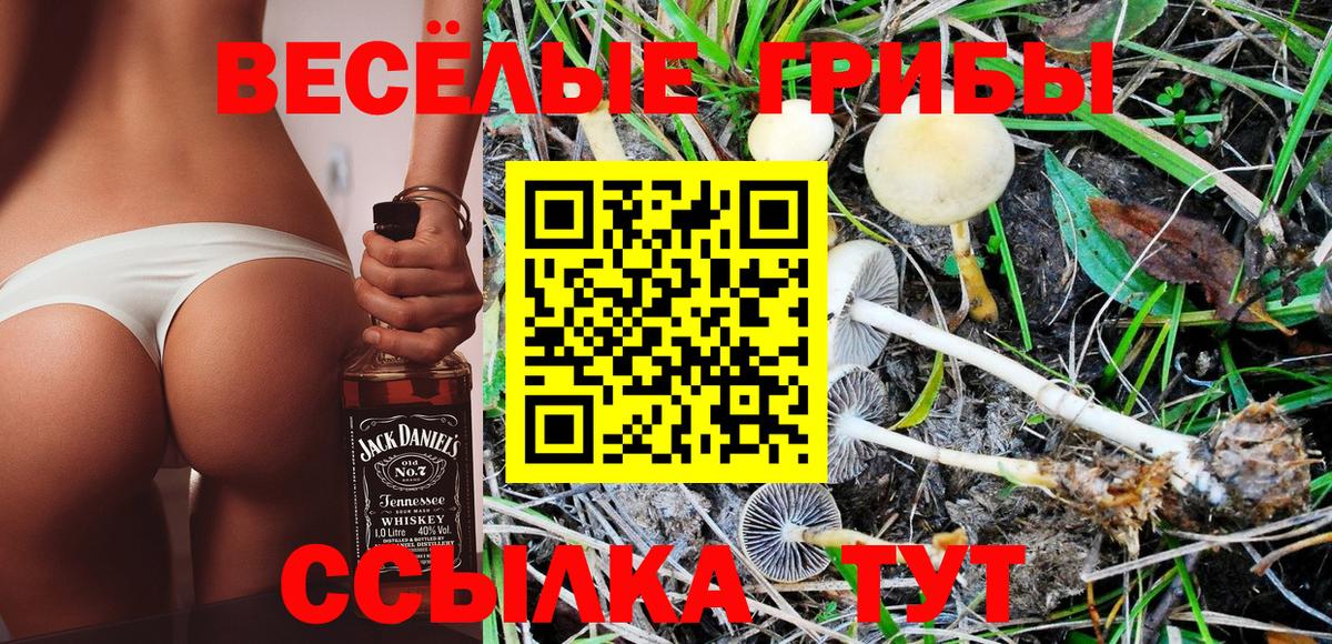 Псилоцибиновые грибы мухоморы Отрадный